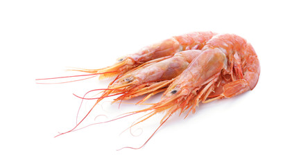 Tasty shrimps on white background