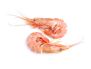 Tasty shrimps on white background