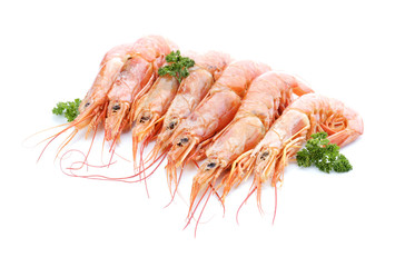 Tasty shrimps on white background