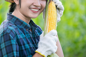 Beautiful young farmer Showing organic corn