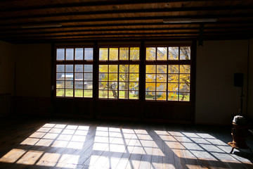 教室から見える銀杏。喰丸　昭和　福島　日本。１１月上旬。