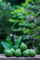 Fototapeta na wymiar Fresh organic bergamot fruits on wooden table with blur green garden background