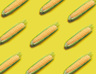 Fresh corn pattern on yellow background.