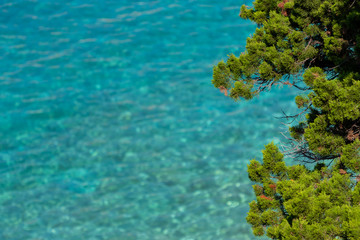 blue water in the sea