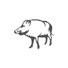 Wild boar Logo Design Vector. Template Illustration. Icon Symbol
