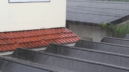 rain drop and grunge roof. 