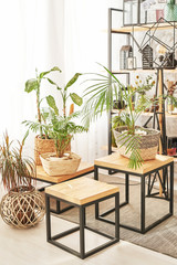 loft living room with indoor plants