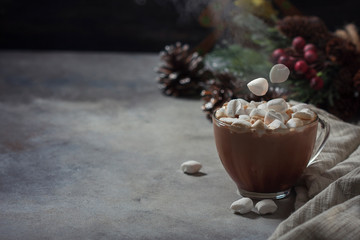 Homemade hot cocoa or hot chocolate with marshmallows. Traditional beverage for winter time. Christmas Holiday background.