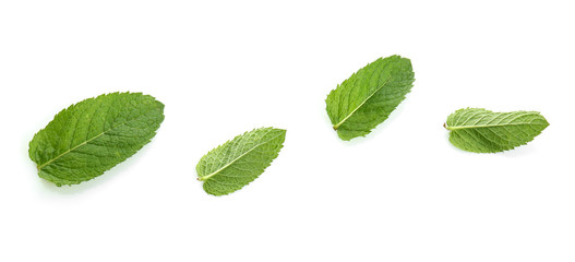 Naklejka na ściany i meble Fresh green mint leaves on white background