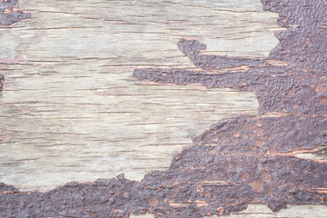 Dark wood texture background surface with old natural pattern vintage timber texture background, Table top view.