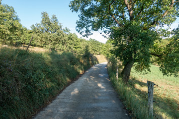 Natural environment of the town of Ripoll in Girona