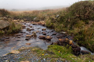 a foggy day in the forest of Belaustegui, on Mount Gorbea