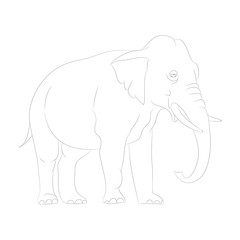 elephant graphic line, goes, vector