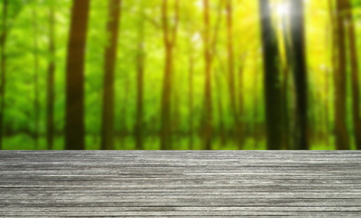 Fototapeta premium wooden table forest