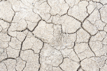 Crack soil on dry season, Global warming / cracked dried mud / Dry cracked earth background / The cracked ground, Ground in drought, Soil texture and dry mud, Dry land.
