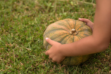 Halloween trend on orange background with copy space. Close-up a pumpkin in the hands of a child. Halloween holiday. Selective focus. Harvesting on eco farm.
