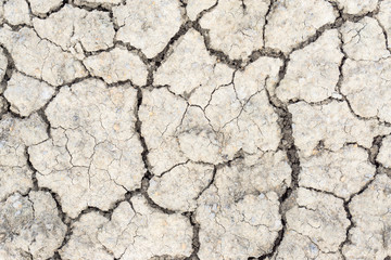 Crack soil on dry season, Global warming / cracked dried mud / Dry cracked earth background / The cracked ground, Ground in drought, Soil texture and dry mud, Dry land.