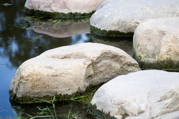 Stepping stones in the still water.