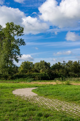 Meadow with path among the grass that extends to the forest behind in Reeuwijk, Netherlands. The sky is clear blue with snow-white clouds.