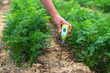 Fototapeta Measure soil with digital device. Green plants and woman farmer measure PH and moisture in the soil. obraz