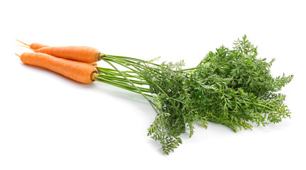 Fresh carrots on white background