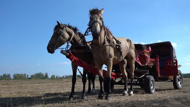 Vintage chariot with two horses on field during  Ethno-eco festival Kolodar in city Slavuta, Ukraine