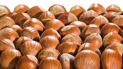 Haselnüsse