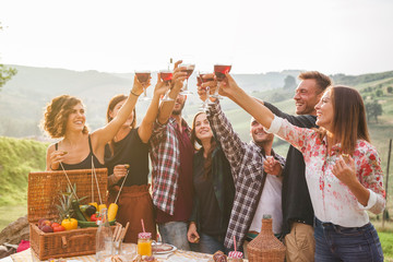 Group of friends making a toast during a barbecue in the countryside