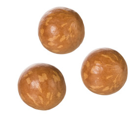 Macadamia