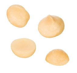 Macadamia