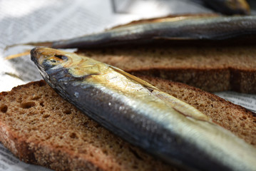 Golden smoked fish on newspaper. Fish on bread.