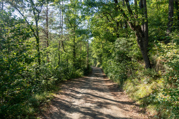 Natural environment of the town of Ripoll in Girona
