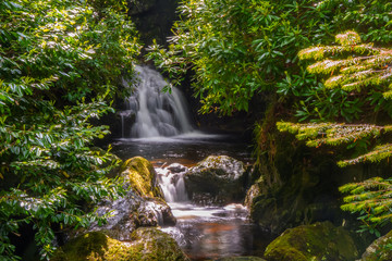 Tollymore Forest Natural Park Northern Ireland Waterfall long exposure light