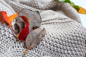 Bright autumn leaves on a beige knitted plaid. Close-up photo. Autumn background.
