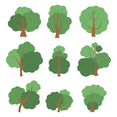 Set of different green trees. Trunk with foliage and branches.