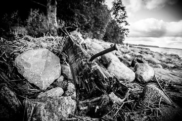old wooden ship beam thrown by a storm on the beach