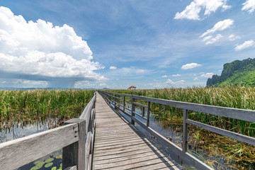 Obraz premium Wooden bridge over a lake with blue sky in Sam Roi Yod National Park, Prachuap Khiri Khan, Thailand