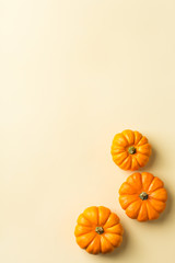 Autumn fall thanksgiving day composition with decorative orange pumpkins