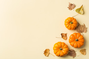 Autumn fall thanksgiving day composition with decorative orange pumpkins