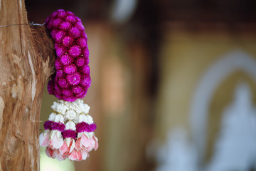 Purple globe amaranth garland in Thai culture