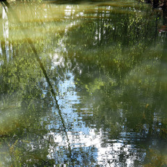Lac d'automne - reflets - 2