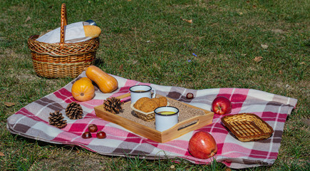 Autumn picnic in the Park with fruit, cookies and tea with apples. There's a baguette and a thermos of hot drink in the picnic basket. Autumn maple leaves, pumpkin and walnuts. Autumn vacation.