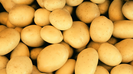 Fresh potato at the market. Food background concept