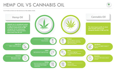 Hemp Oil vs Cannabis Oil horizontal business infographic illustration about cannabis as herbal alternative medicine and chemical therapy, healthcare and medical science vector.