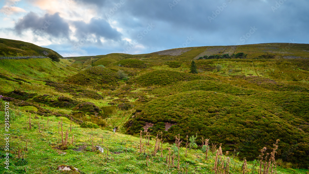 Wall mural source of river east allen, as it begins its journey on allendale common in the north pennines aonb 