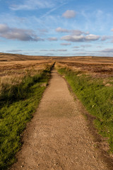 Fototapeta premium Footpath going through Chunal Moor in the Peak District with green grass and a mountain