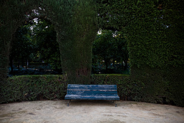 Trip to Seville, Spain