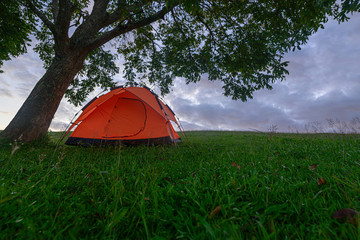 orange tent under tree laying to stay over night prepareed by traveller