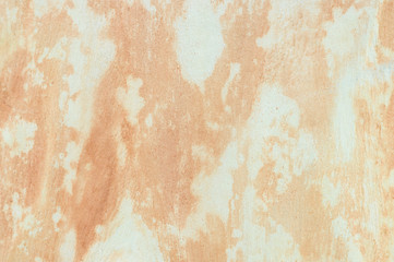 Background of old eucalyptus bark, woody texture