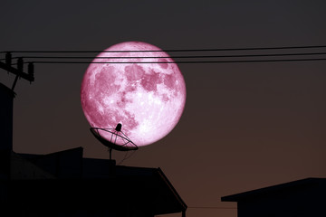 super full harvest moon on night sky back satellite dish on the roof